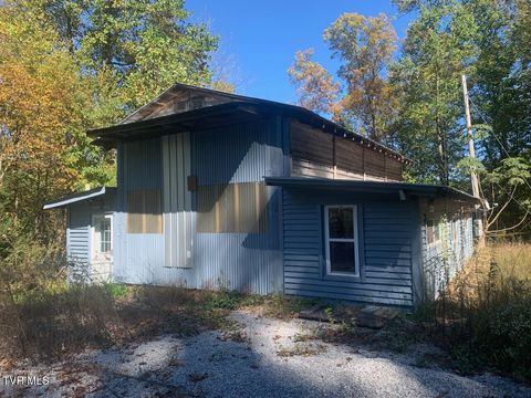 Vacant Land For Sale - 421 Grouse Run Road<br/> Sneedville, TN 37869