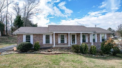 Photo of 1400 Brentwood Drive, Greeneville, TN 37743 (MLS # 9990914)