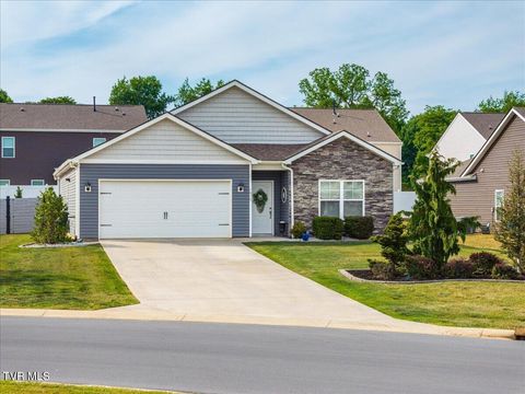 Photo of 1010 Raccoon Lane, Piney Flats, TN 37686 (MLS # 9995866)