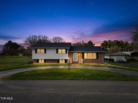 Homes For Sale - 19763 Mccray Drive<br/> Abingdon, VA 24211