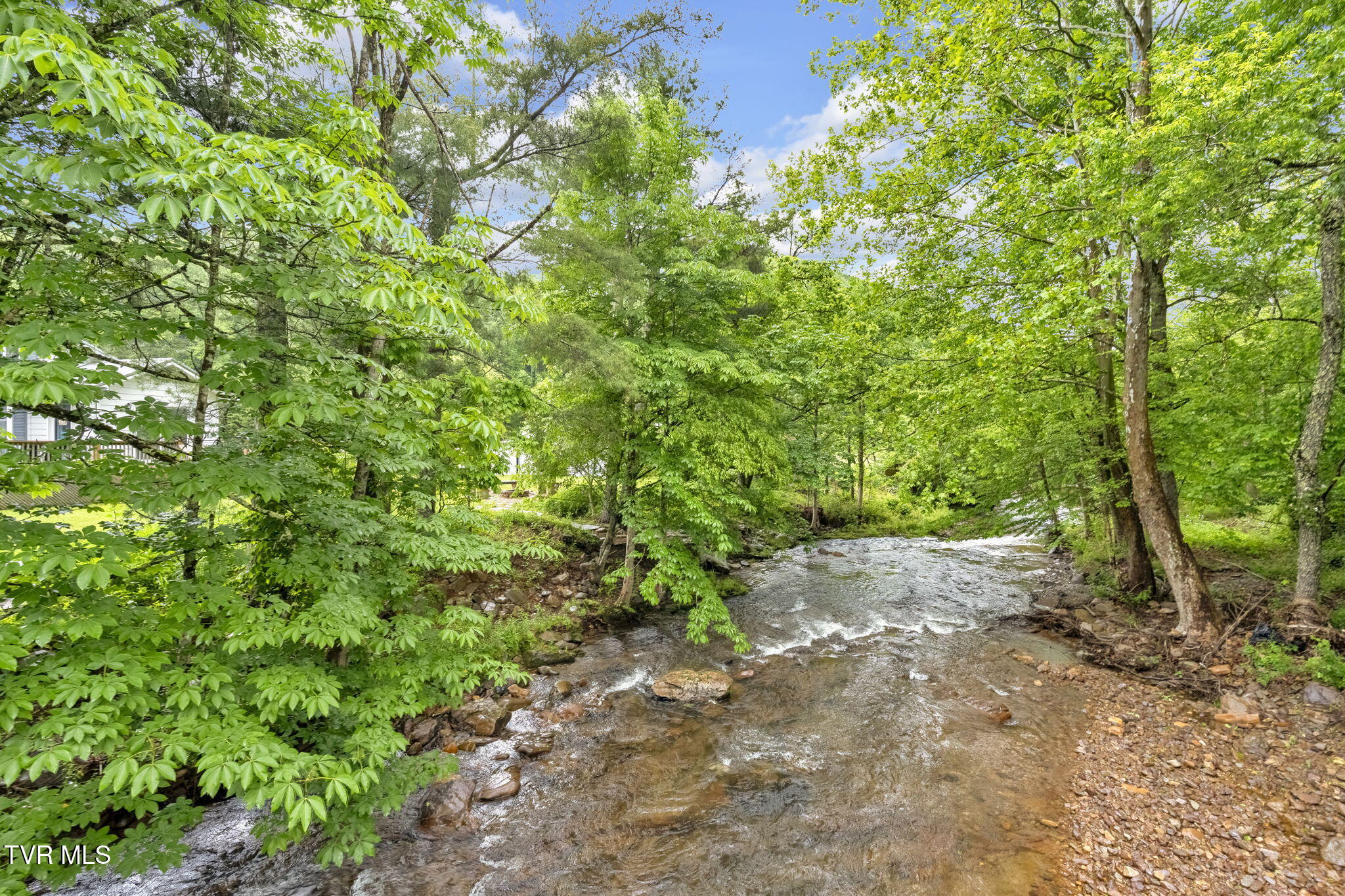 20414 Azen Road, Damascus, Virginia image 40