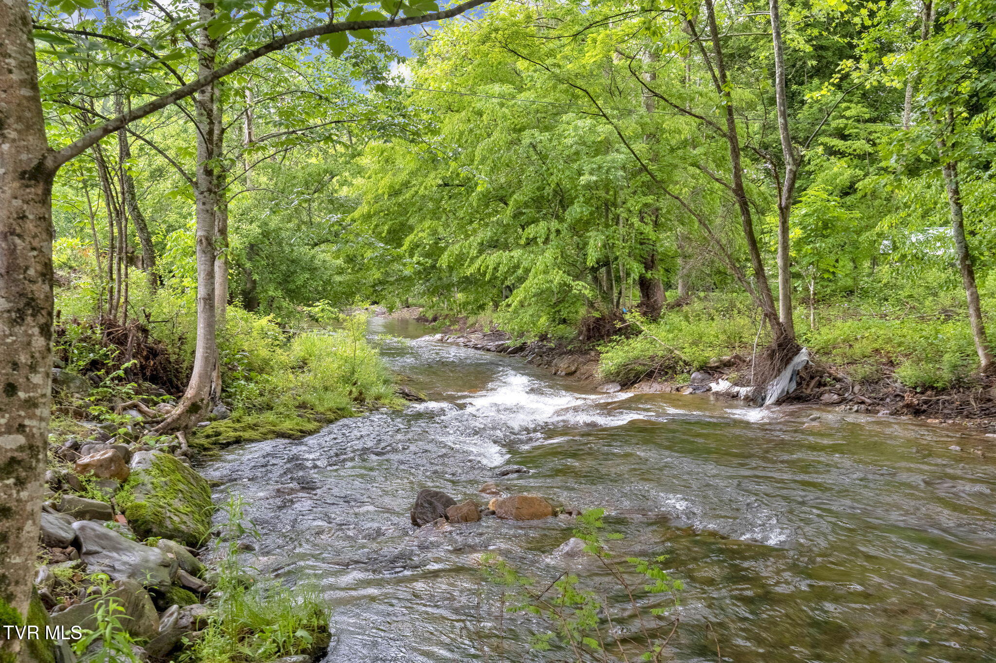 20414 Azen Road, Damascus, Virginia image 4