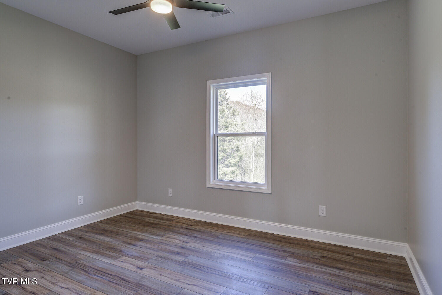 120 Ruritan Road, Fall Branch, Tennessee image 34