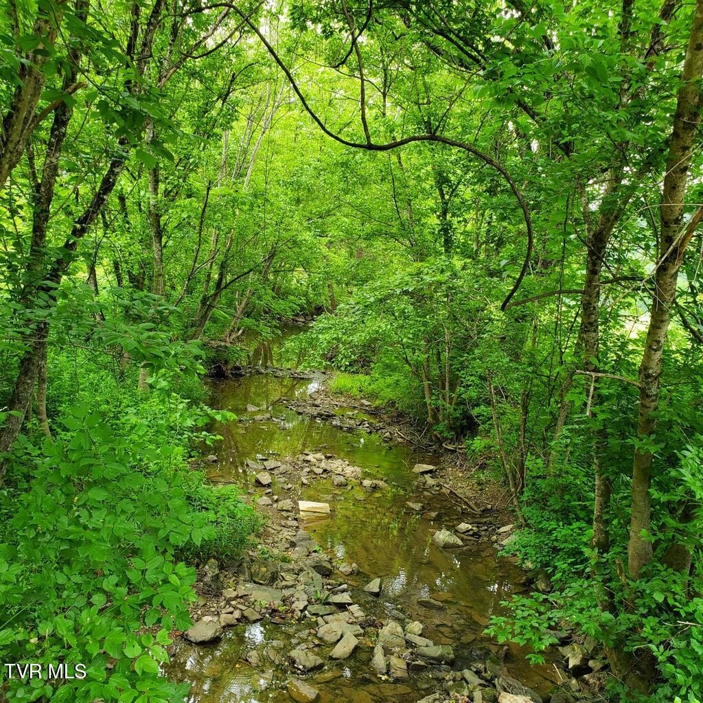 Photo of 00 Lone Star Road, Kingsport, TN 37660 (MLS # 9987066)