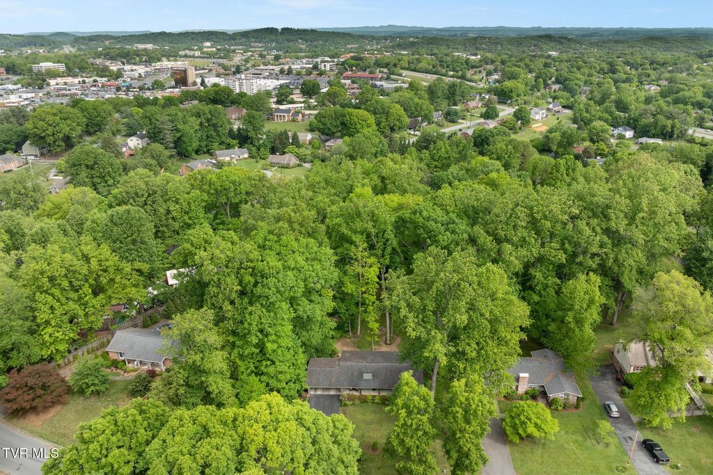 Photo of 1305 Sherwood Drive, Johnson City, TN 37601 (MLS # 9994840)