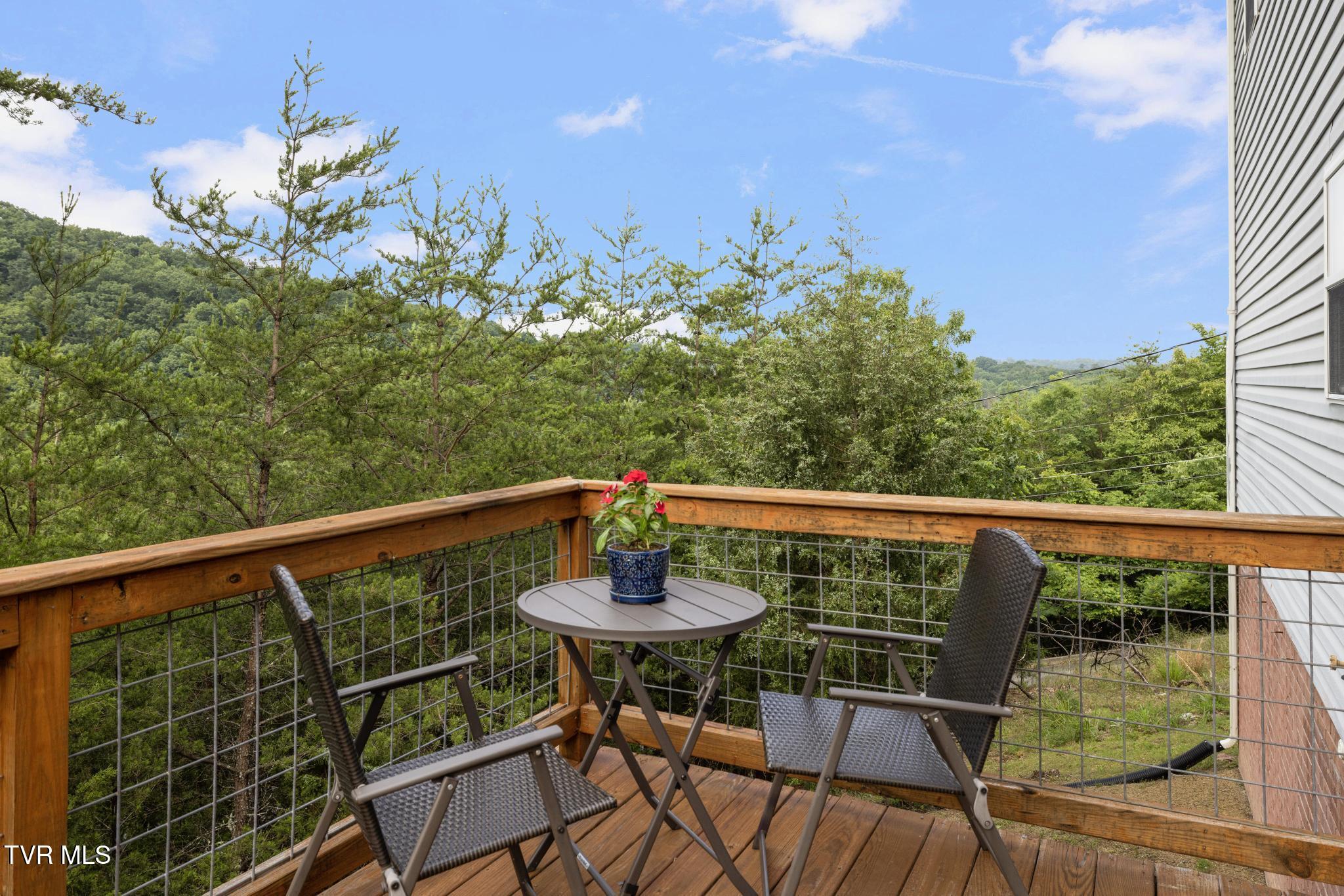 263 Copper Hill Drive, Johnson City, Tennessee image 9