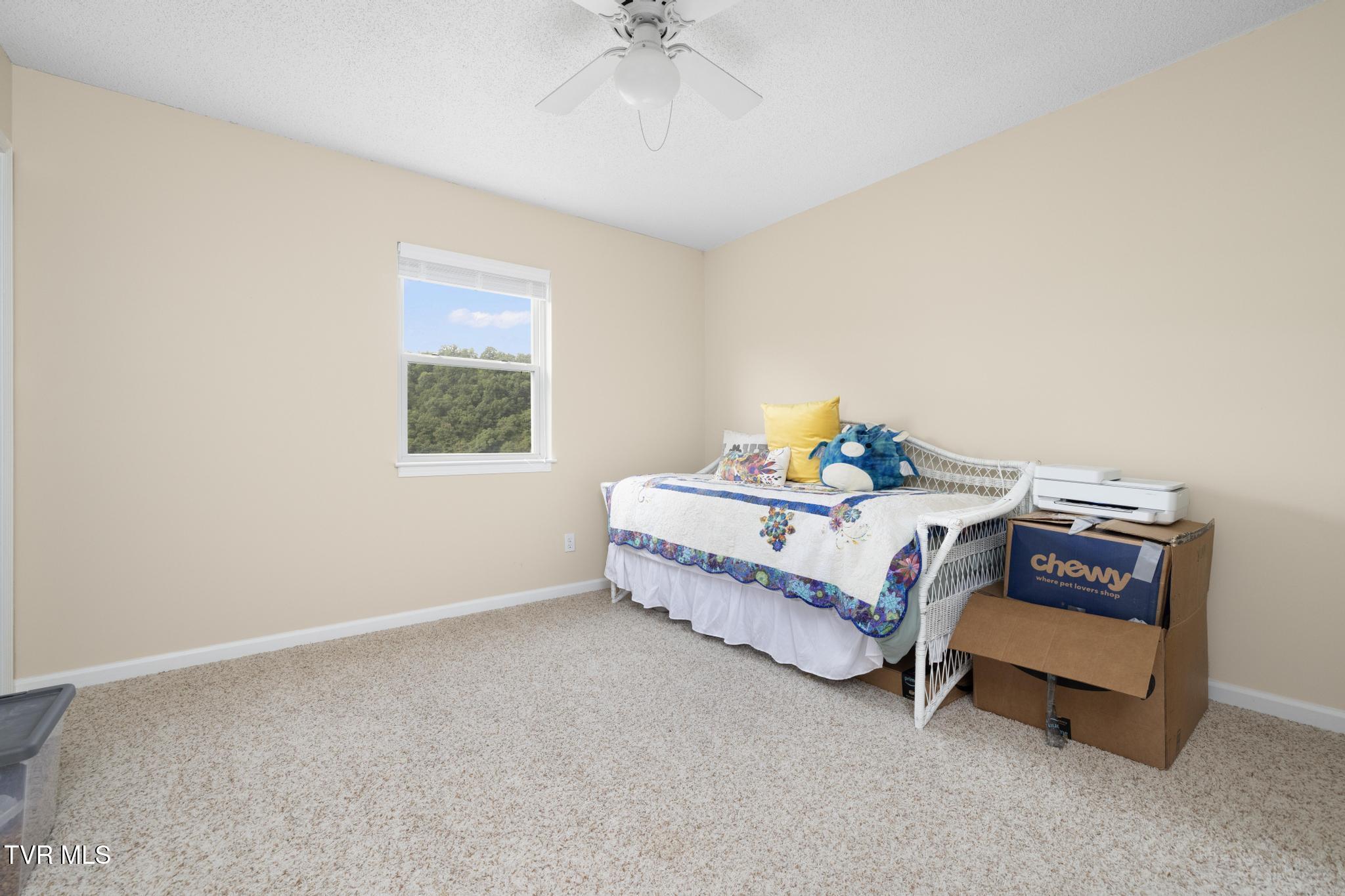 263 Copper Hill Drive, Johnson City, Tennessee image 31