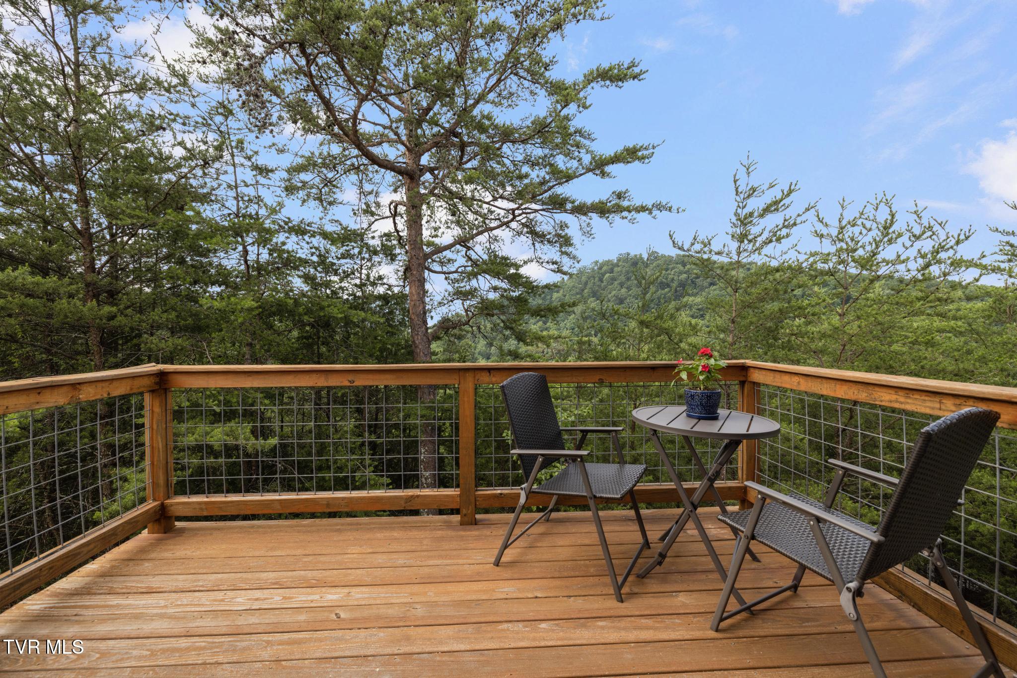 263 Copper Hill Drive, Johnson City, Tennessee image 8