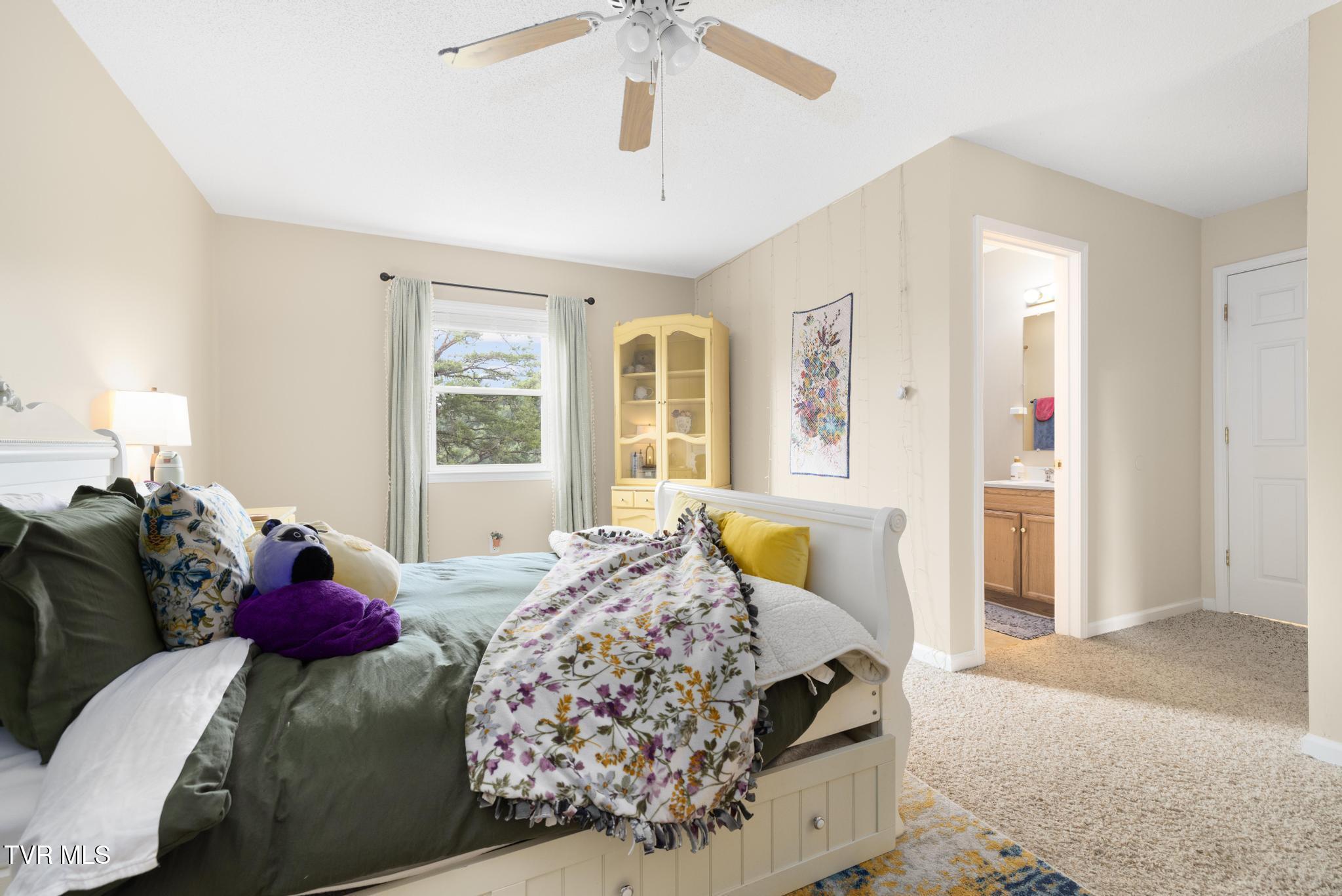 263 Copper Hill Drive, Johnson City, Tennessee image 26