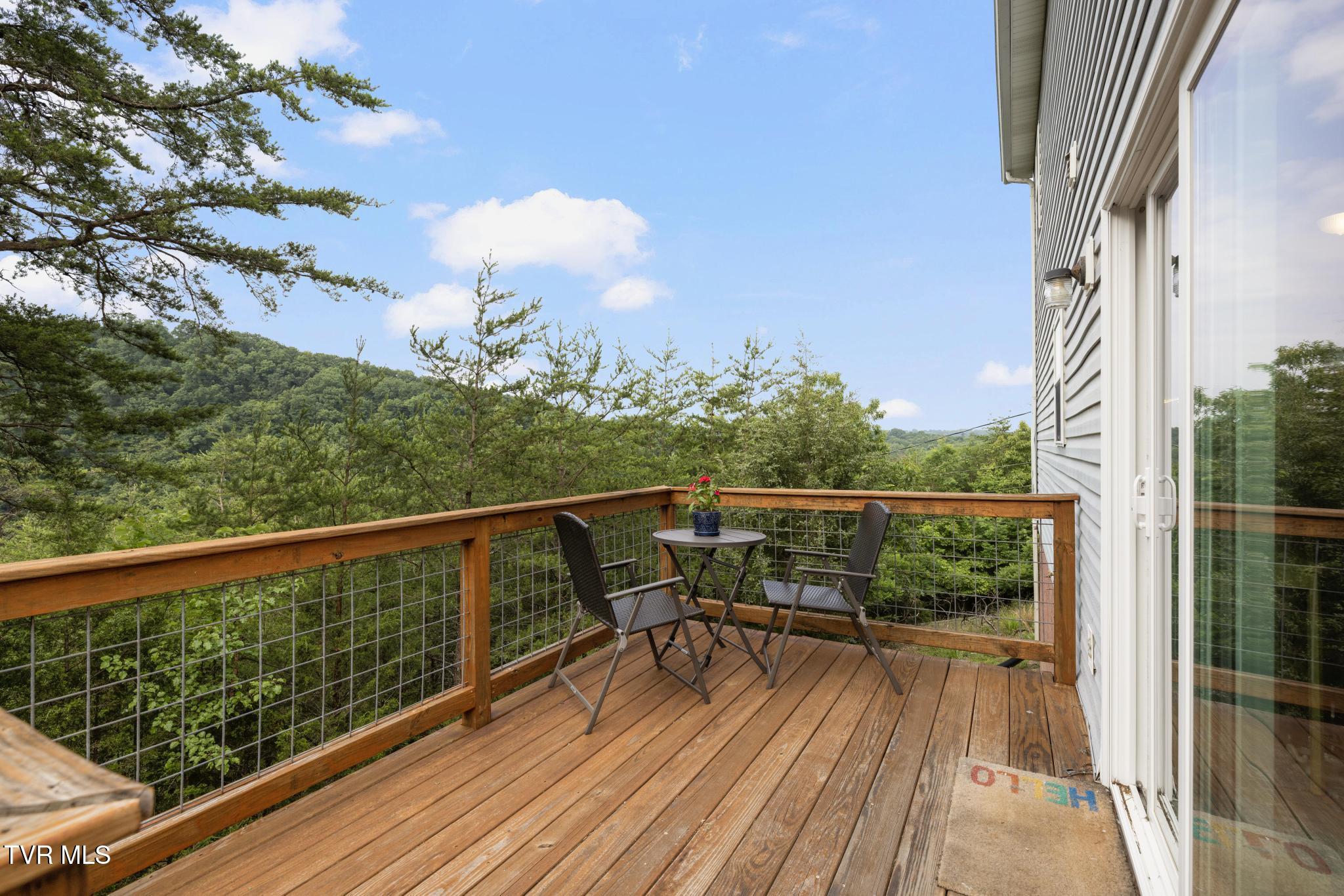 263 Copper Hill Drive, Johnson City, Tennessee image 10