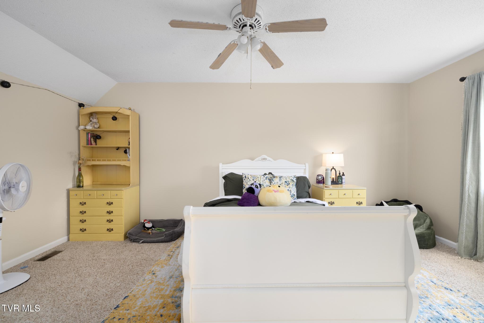 263 Copper Hill Drive, Johnson City, Tennessee image 25