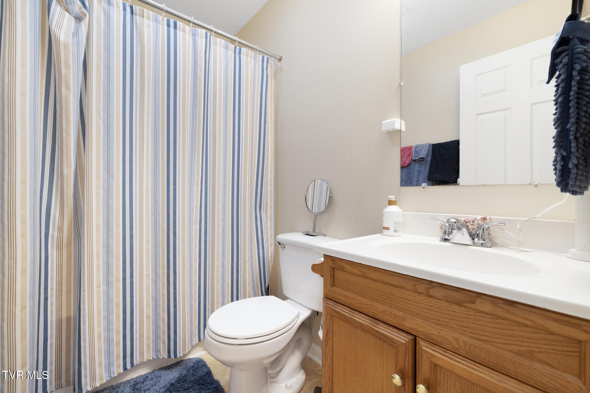 263 Copper Hill Drive, Johnson City, Tennessee image 29