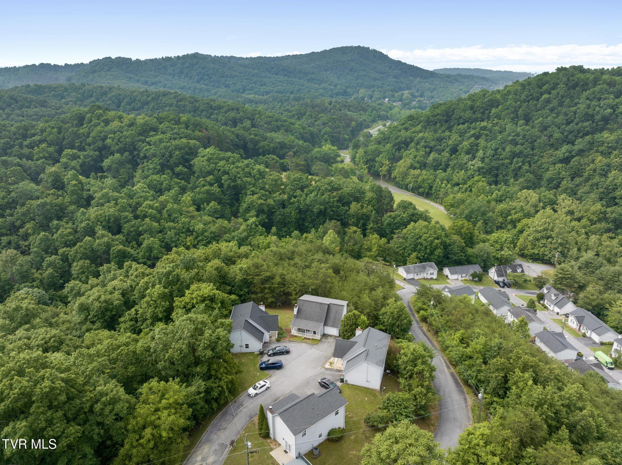 263 Copper Hill Drive, Johnson City, Tennessee image 36
