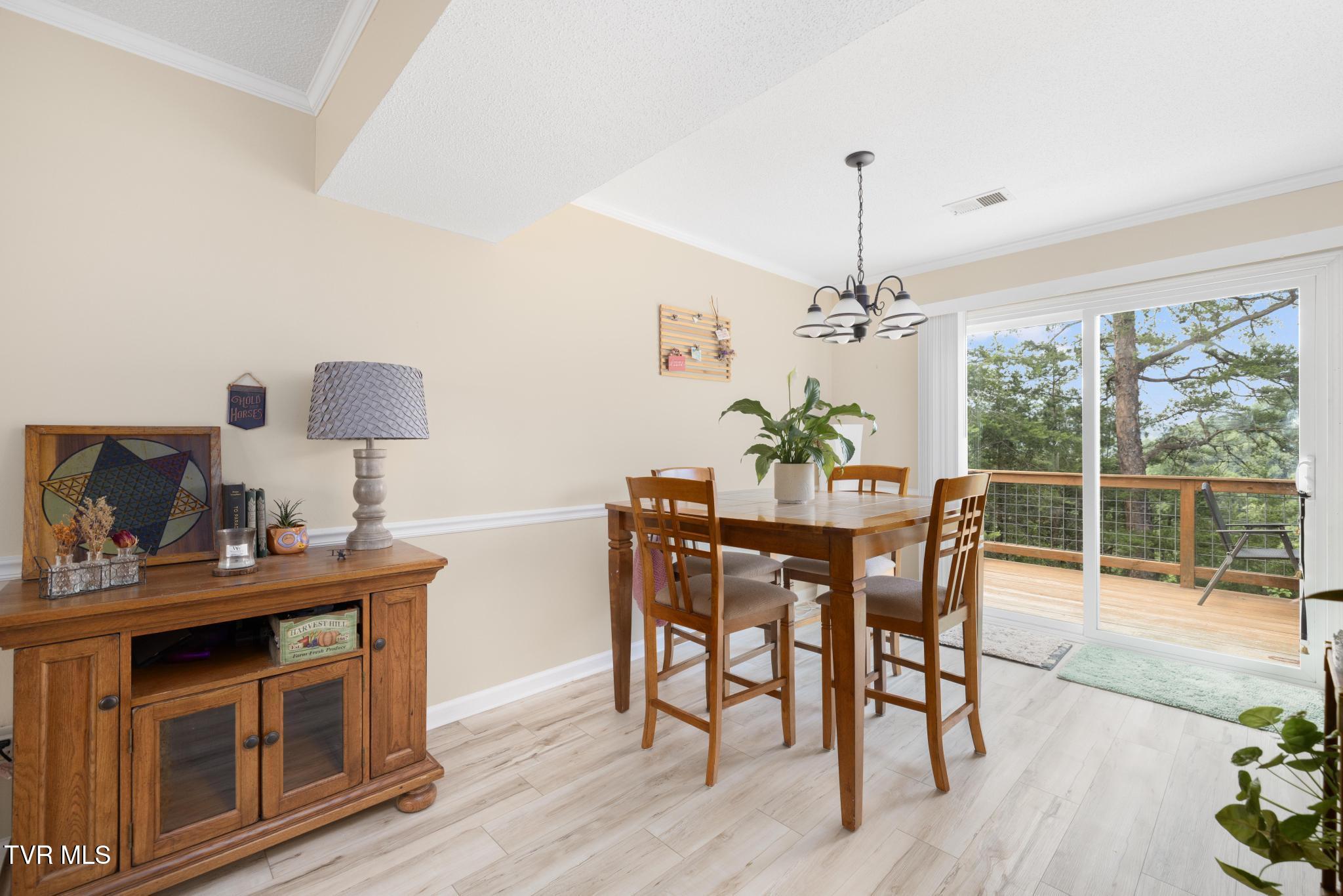 263 Copper Hill Drive, Johnson City, Tennessee image 17