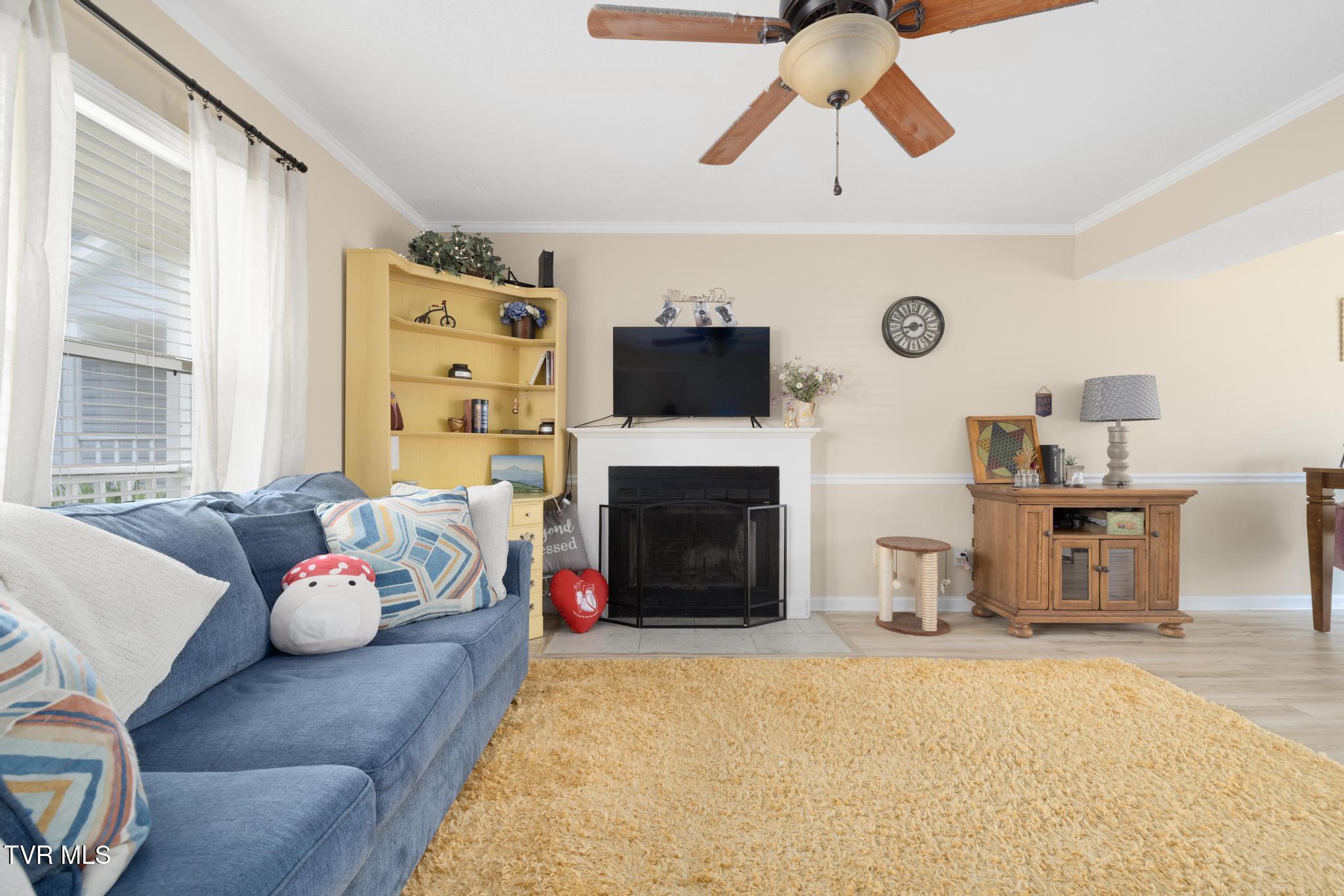 263 Copper Hill Drive, Johnson City, Tennessee image 15