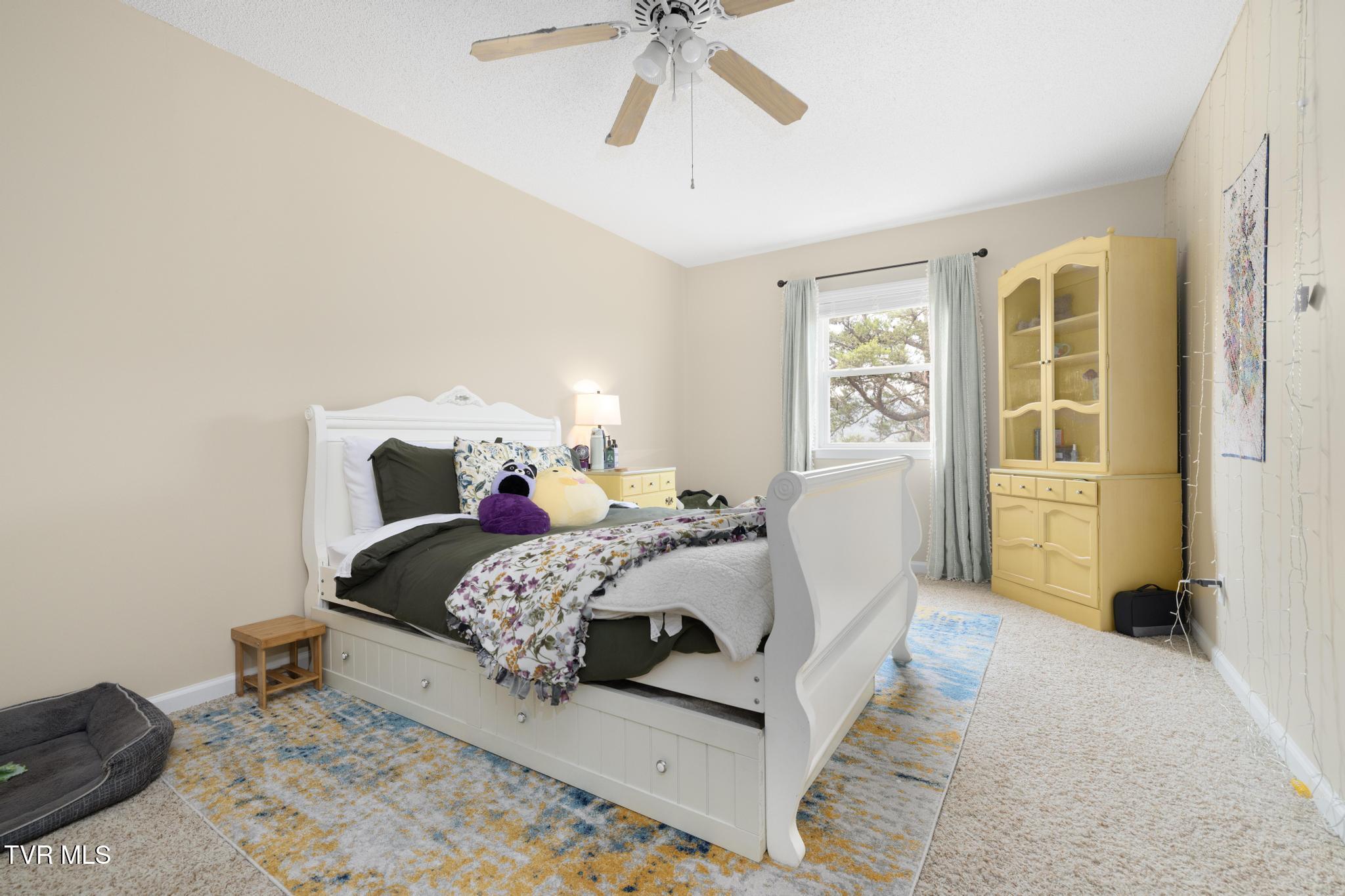 263 Copper Hill Drive, Johnson City, Tennessee image 27