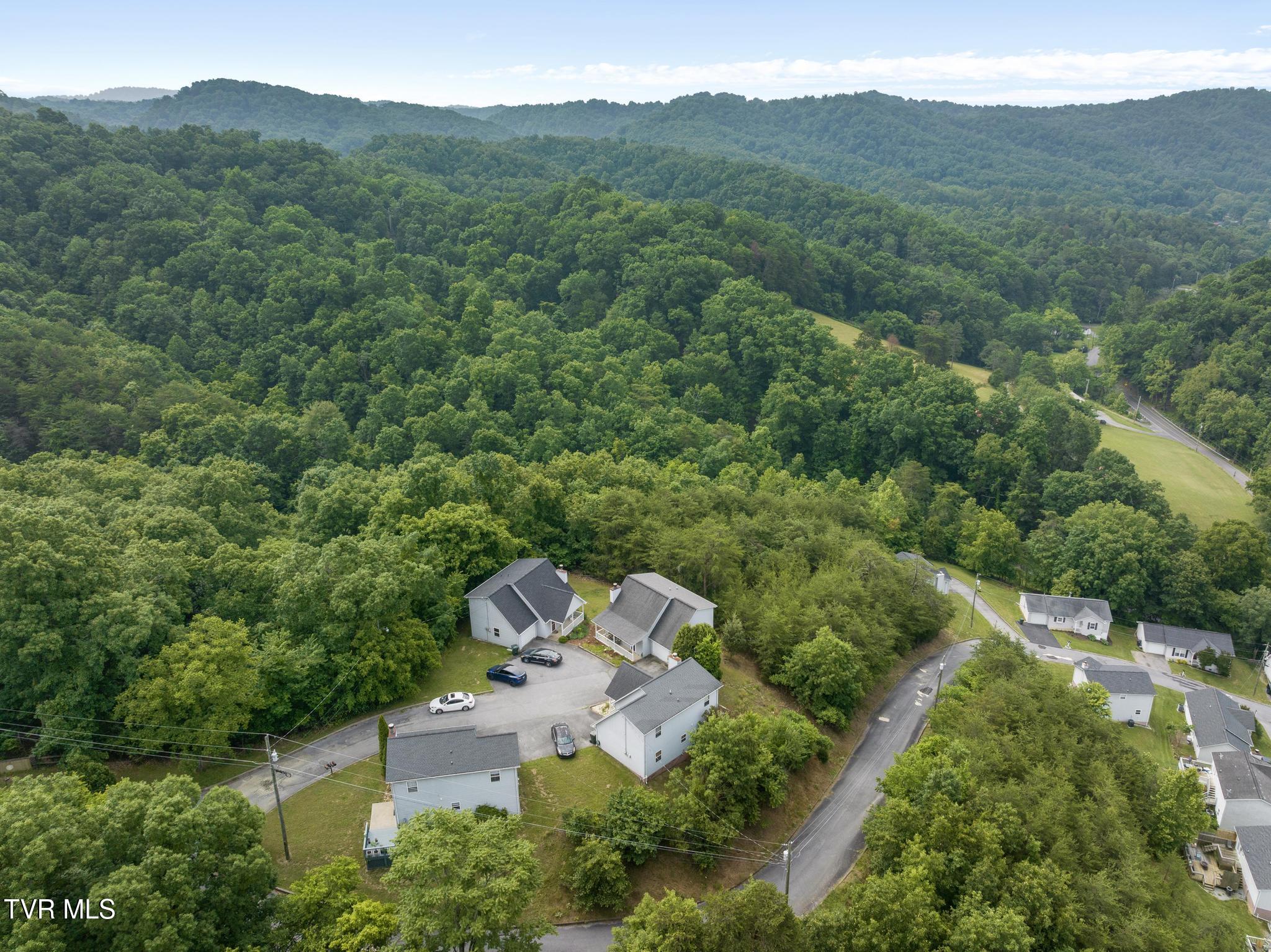 263 Copper Hill Drive, Johnson City, Tennessee image 37