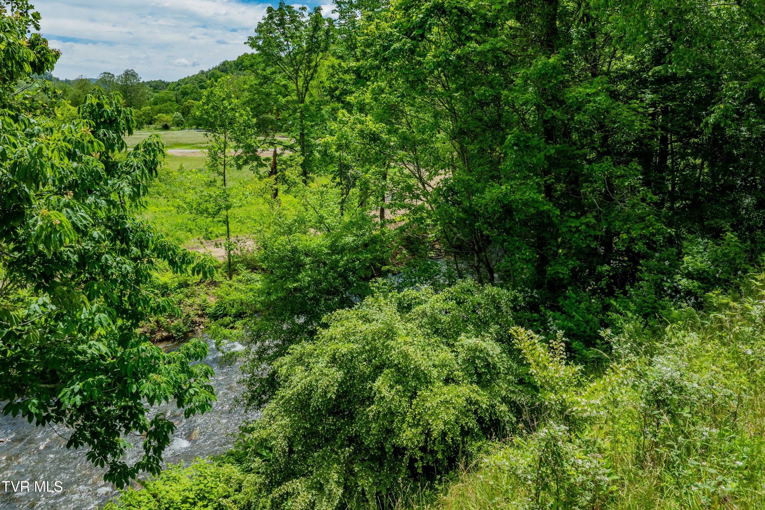 402 Crabtree Road, Roan Mountain, Tennessee image 40