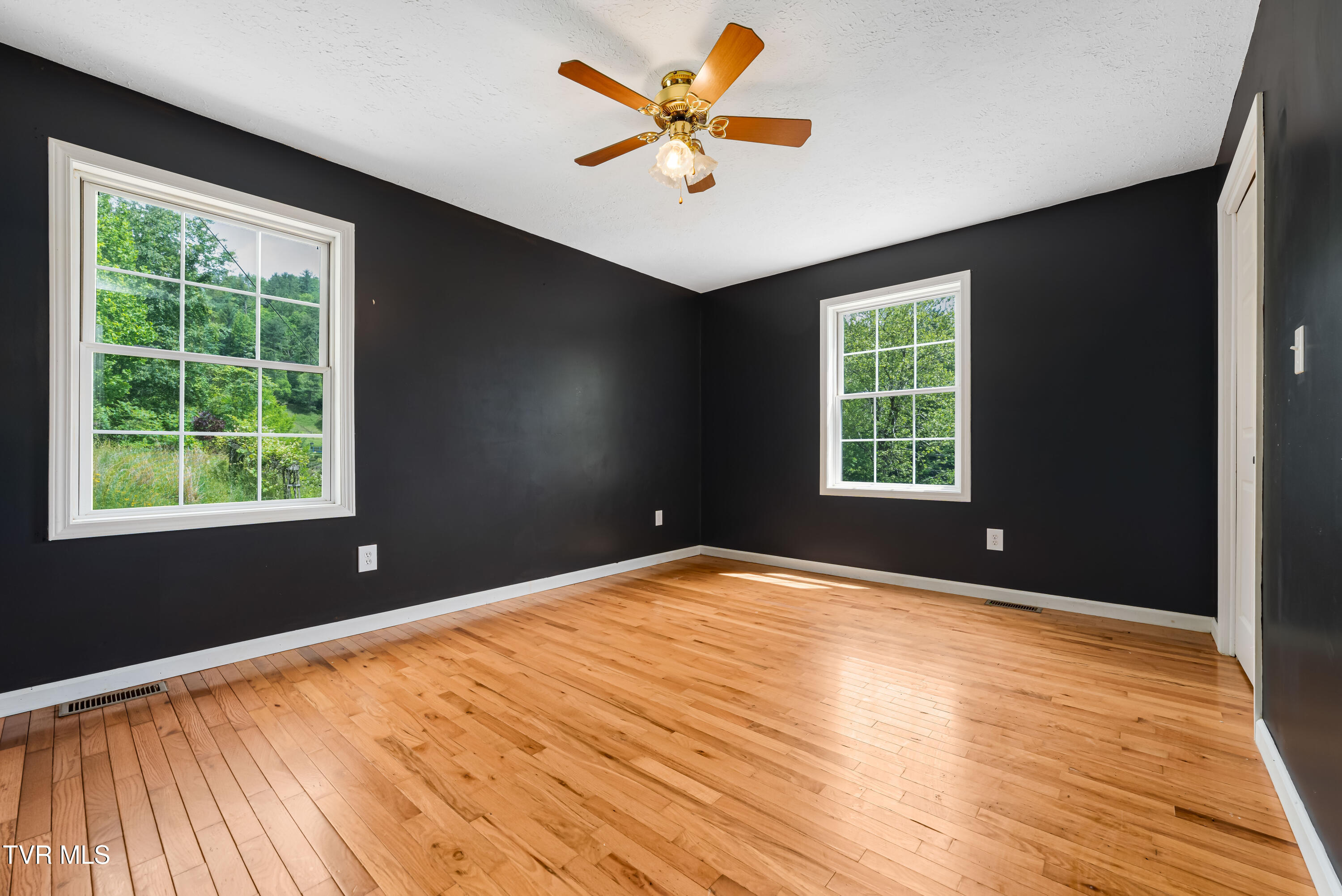 402 Crabtree Road, Roan Mountain, Tennessee image 22