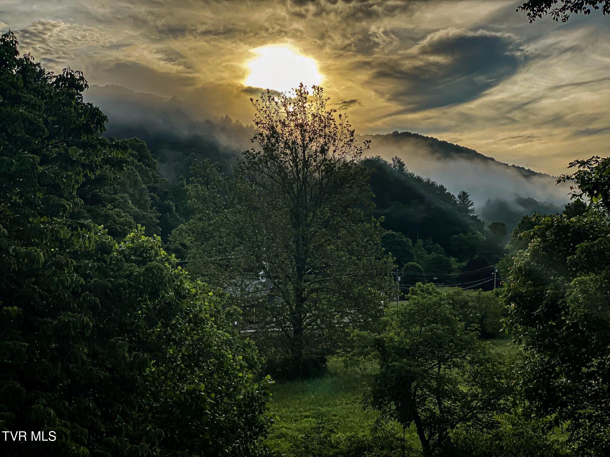 402 Crabtree Road, Roan Mountain, Tennessee image 38