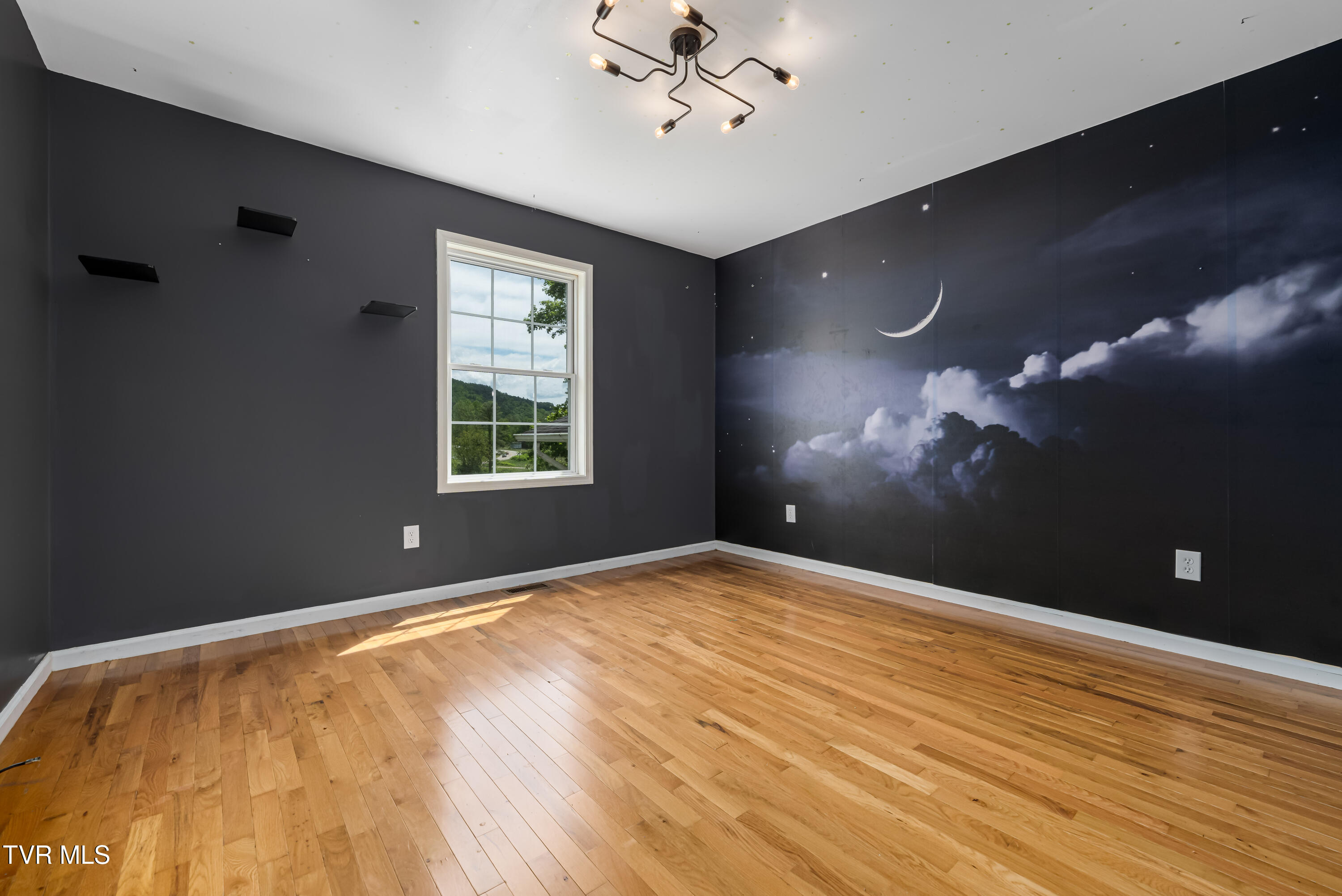 402 Crabtree Road, Roan Mountain, Tennessee image 20
