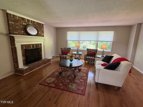 Tiny photo for 205 Donegal Way #205, Bristol, TN 37620 (MLS # 9976119)