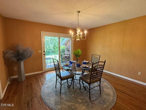 Tiny photo for 205 Donegal Way #205, Bristol, TN 37620 (MLS # 9976119)
