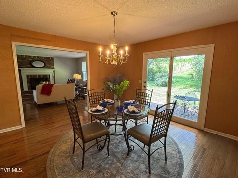 Tiny photo for 205 Donegal Way #205, Bristol, TN 37620 (MLS # 9976119)