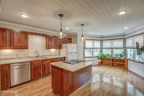 Tiny photo for 205 Donegal Way #205, Bristol, TN 37620 (MLS # 9976119)