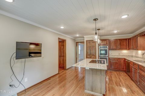 Tiny photo for 205 Donegal Way #205, Bristol, TN 37620 (MLS # 9976119)