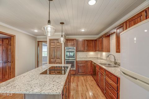 Tiny photo for 205 Donegal Way #205, Bristol, TN 37620 (MLS # 9976119)