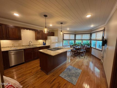 Tiny photo for 205 Donegal Way #205, Bristol, TN 37620 (MLS # 9976119)