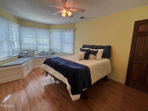 Tiny photo for 205 Donegal Way #205, Bristol, TN 37620 (MLS # 9976119)