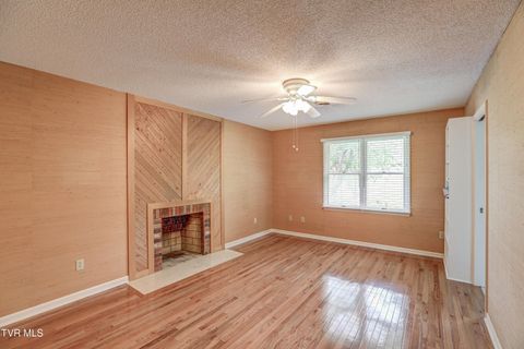Tiny photo for 205 Donegal Way #205, Bristol, TN 37620 (MLS # 9976119)