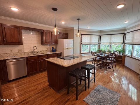 Tiny photo for 205 Donegal Way #205, Bristol, TN 37620 (MLS # 9976119)