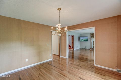 Tiny photo for 205 Donegal Way #205, Bristol, TN 37620 (MLS # 9976119)