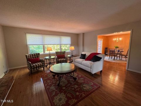 Tiny photo for 205 Donegal Way #205, Bristol, TN 37620 (MLS # 9976119)