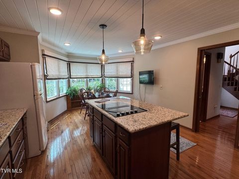 Tiny photo for 205 Donegal Way #205, Bristol, TN 37620 (MLS # 9976119)