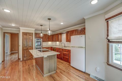 Tiny photo for 205 Donegal Way #205, Bristol, TN 37620 (MLS # 9976119)