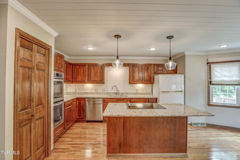 Tiny photo for 205 Donegal Way #205, Bristol, TN 37620 (MLS # 9976119)