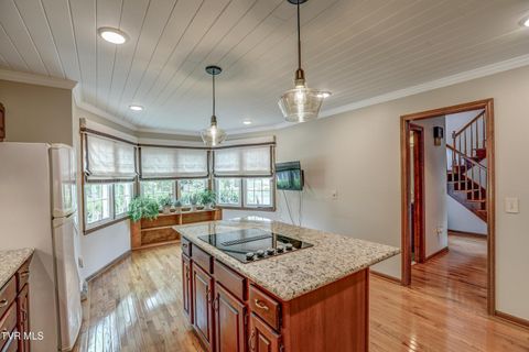 Tiny photo for 205 Donegal Way #205, Bristol, TN 37620 (MLS # 9976119)