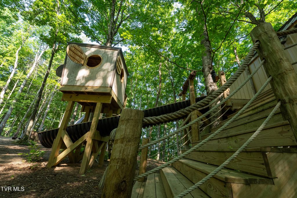 Photo of 517 Tbd Gregory Road, Sneedville, TN 37869 (MLS # 9984291)