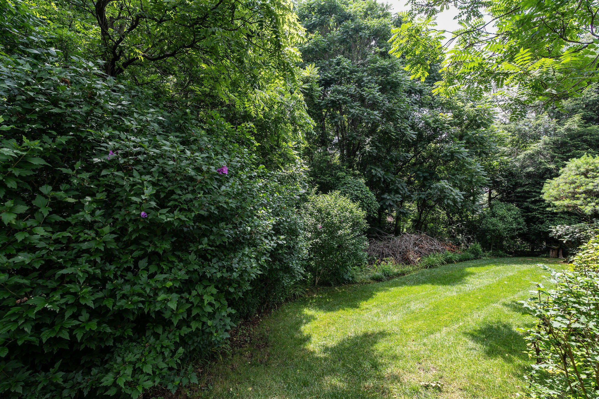 112 Leslie Court, Kingsport, Tennessee image 18