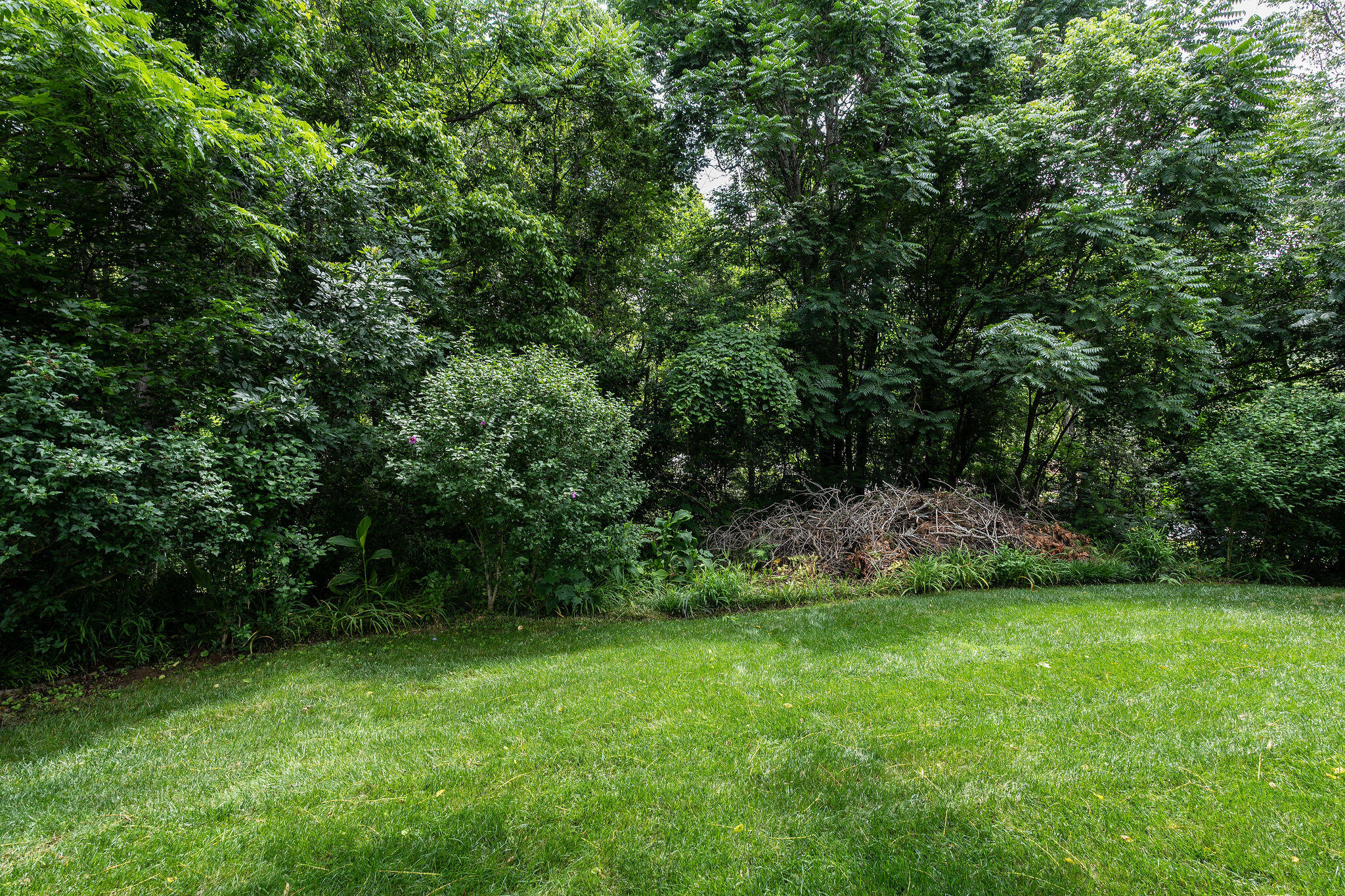 112 Leslie Court, Kingsport, Tennessee image 17