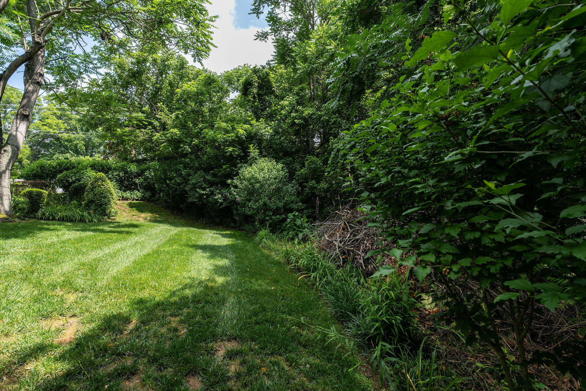 112 Leslie Court, Kingsport, Tennessee image 21