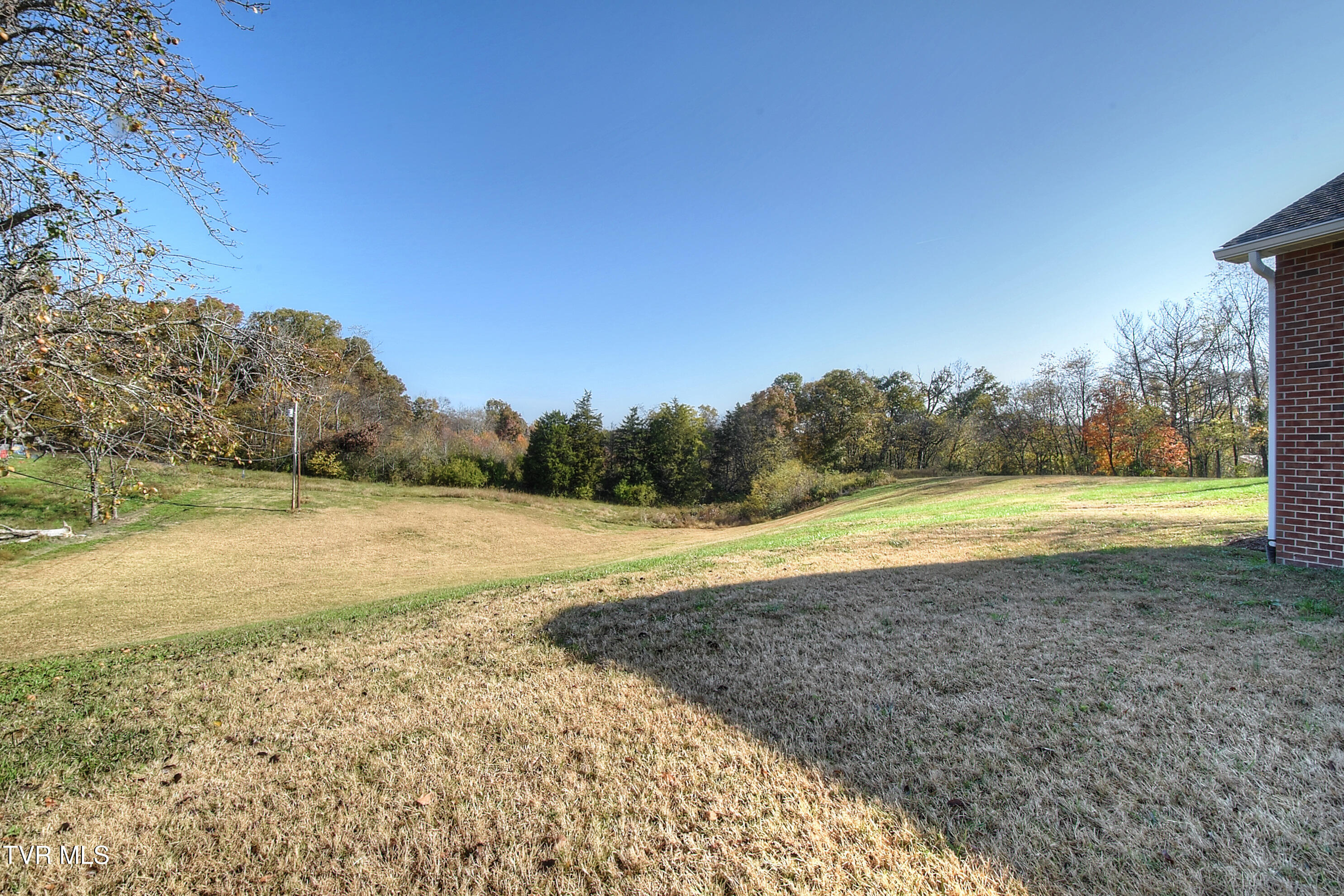 115 Rb Miller Road, Limestone, Tennessee image 9