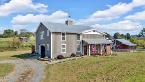 Photo of 118 Ellis Lane, Mount Carmel, TN 37645 (MLS # 9990094)