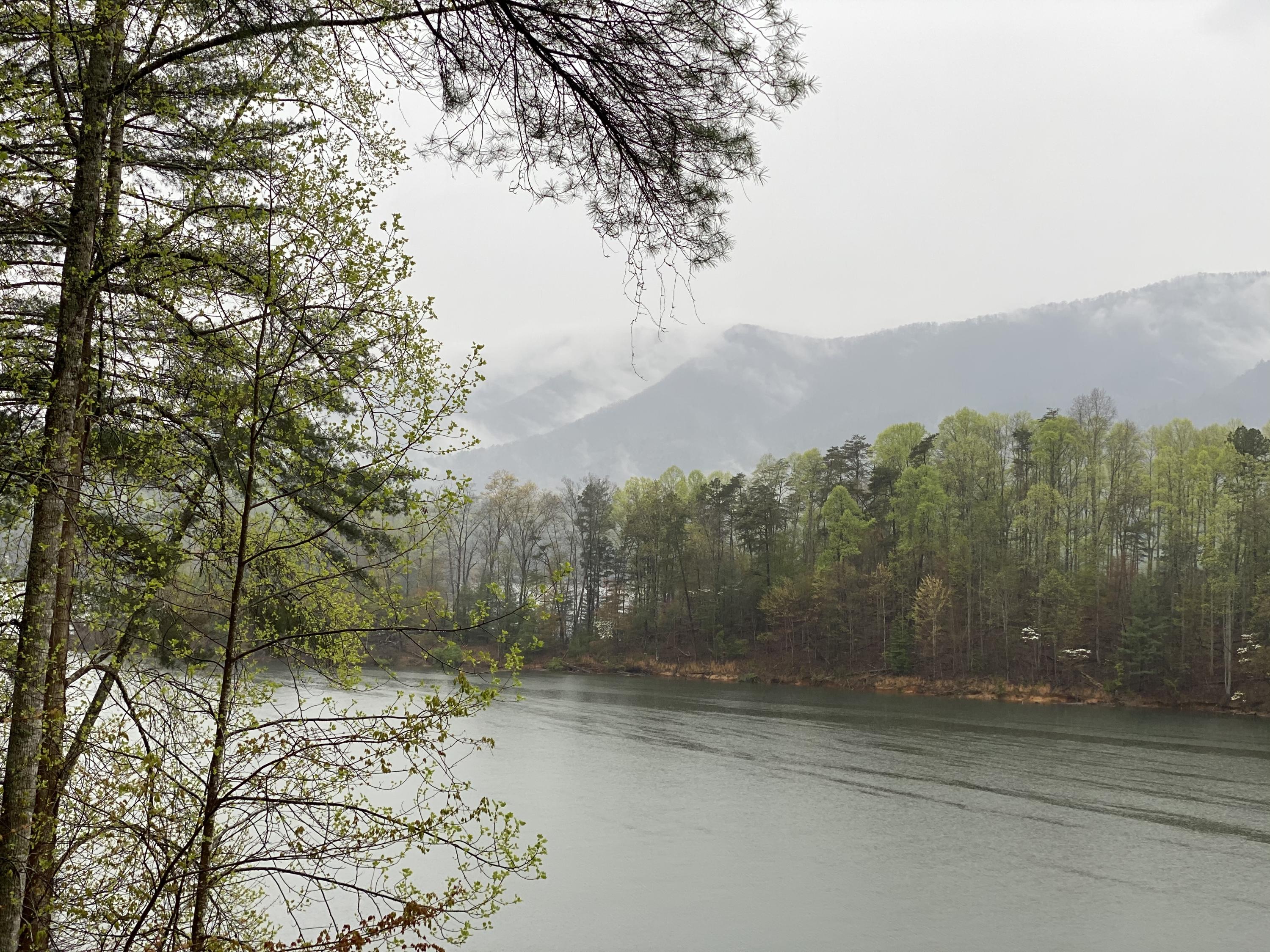 Two Coves Edge Drive, Butler, Tennessee image 32