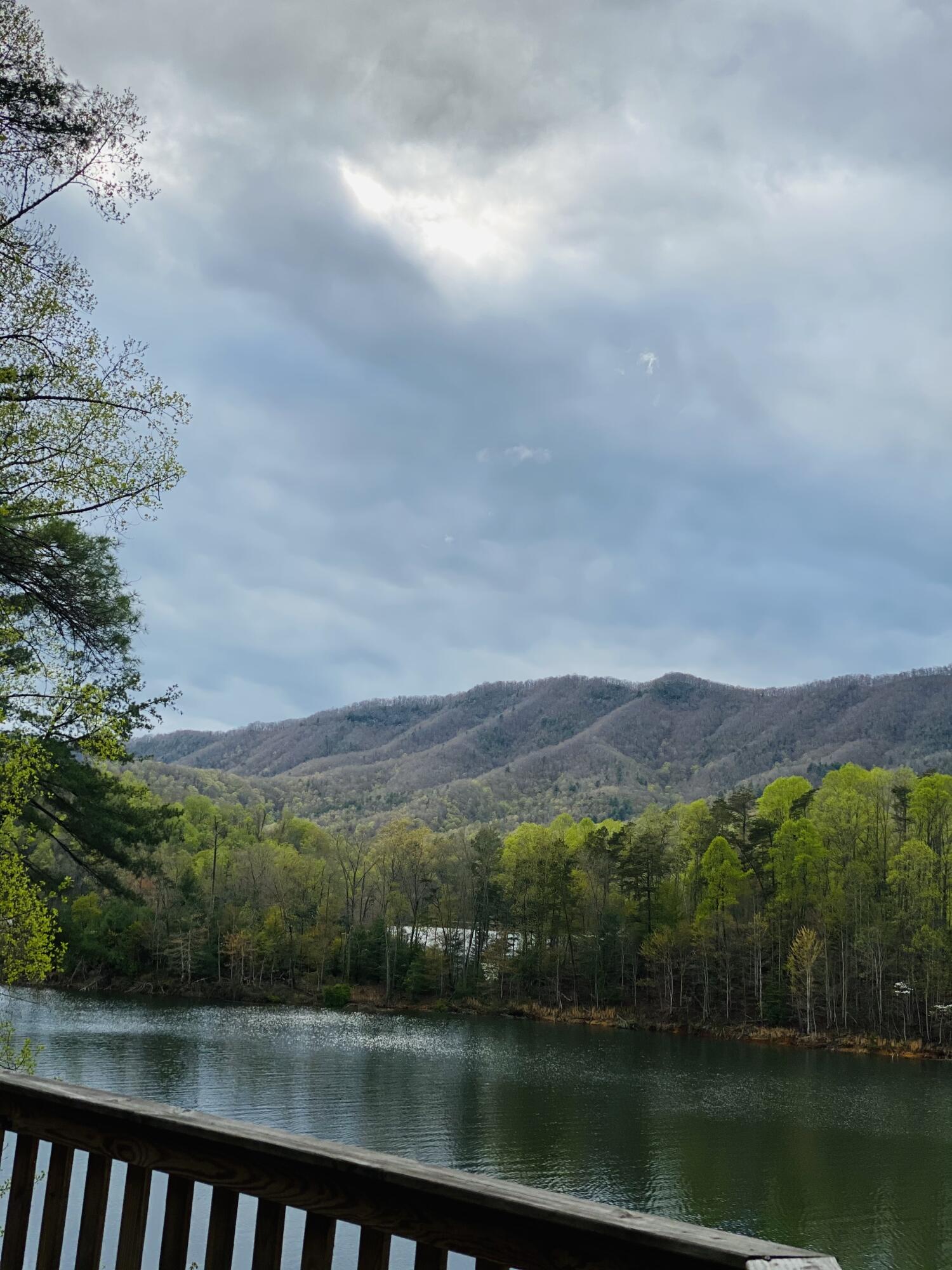 Two Coves Edge Drive, Butler, Tennessee image 33