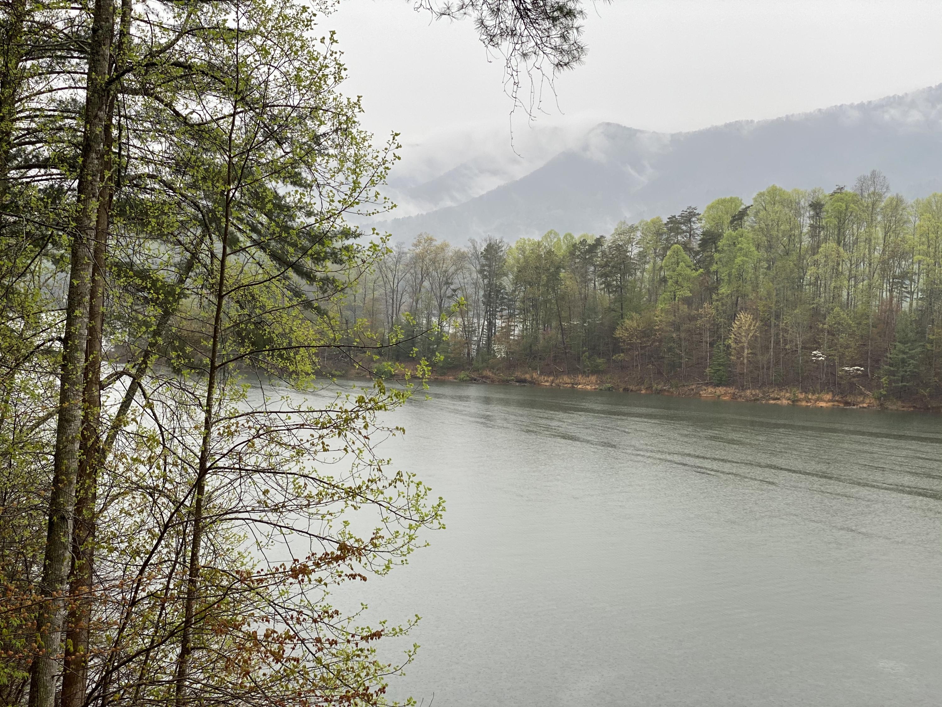 Two Coves Edge Drive, Butler, Tennessee image 35